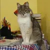 Отзыв от Наталья Рожкова